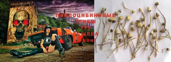 герыч Бородино