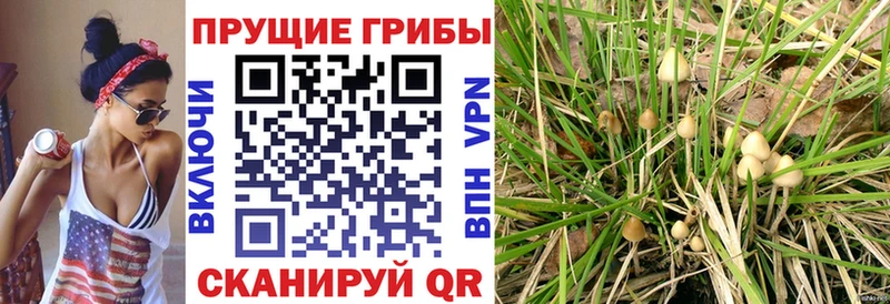 Галлюциногенные грибы прущие грибы  цена наркотик  это состав  Духовщина 